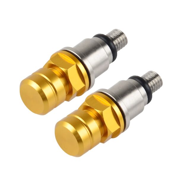 Honda Kawasaki Suzuki Husqvarna Yamaha GASGAS için CNC Hava Tahliye Basınç Valfi Civataları