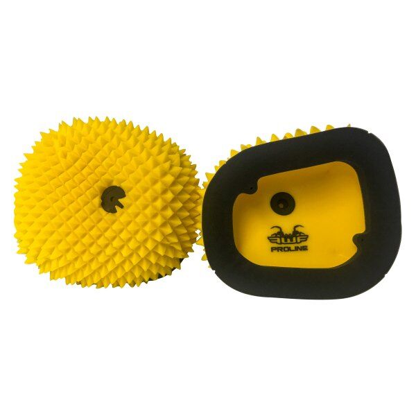 ProLine Funnelweb Air Filter